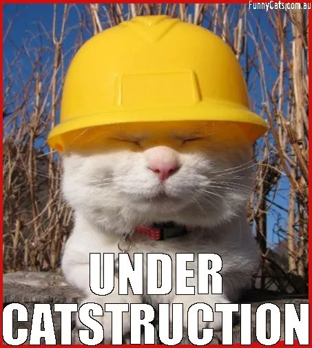 Meme of page under construction.